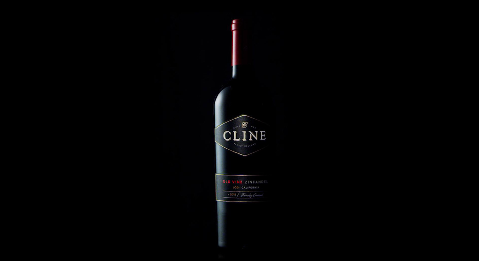 cline bottle shot